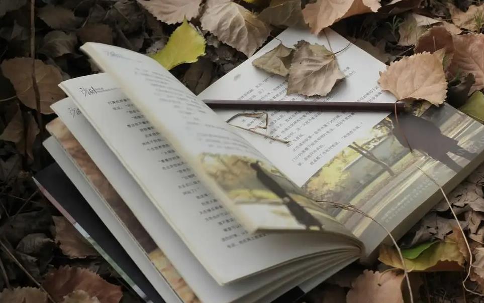 360截圖20220412083111496 360截圖20220412083111496